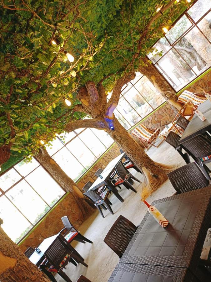 Hostal Torotoro מראה חיצוני תמונה